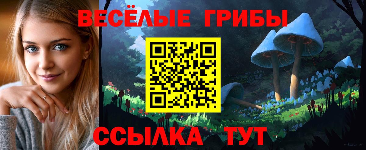Мыски  Псилоцибиновые грибы Psilocybine cubensis  Галлюциногенные грибы мухоморы  Вход с VPN 